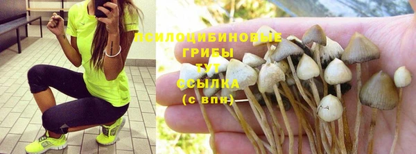 ешки Баксан